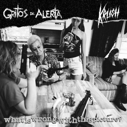 KRUSH - What Is Wrong With This Picture? cover 