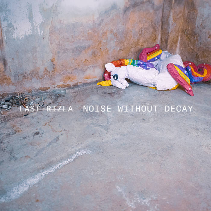 LAST RIZLA - Noise Without Decay cover 