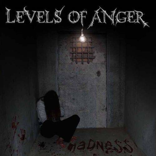 LEVELS OF ANGER - Madness cover 