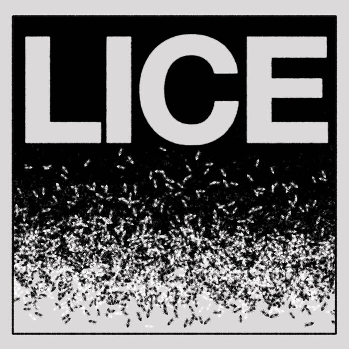 LICE - Demonstration Of Performance cover 