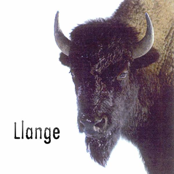 LLANGE - Llange cover 