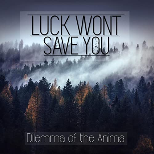LUCK WONT SAVE YOU - Dilemma Of The Anima cover 