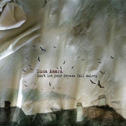 LUNĂ AMARĂ - Don't Let Your Dreams Fall Asleep cover 