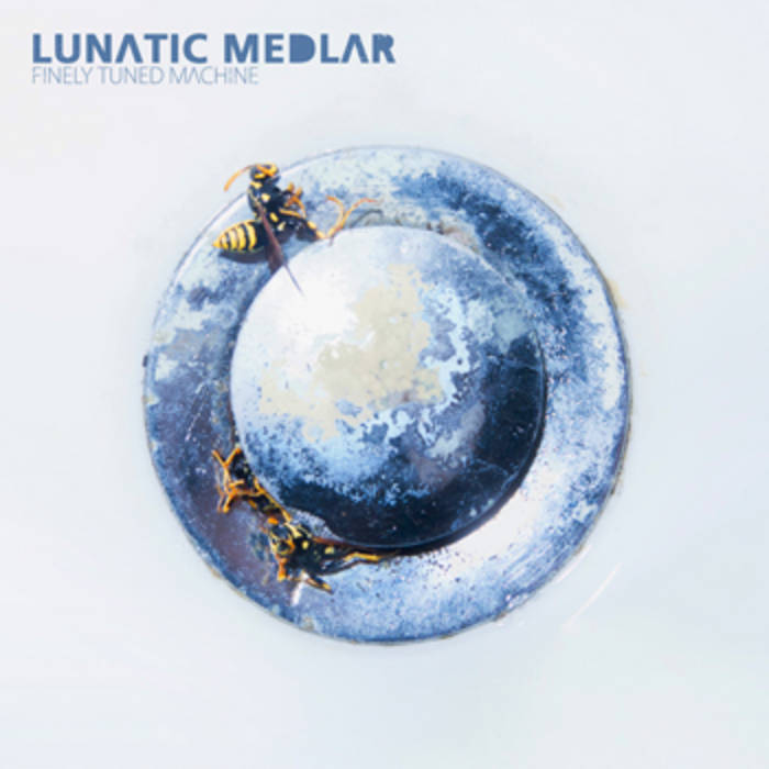 LUNATIC MEDLAR - Finely Tuned Machine cover 