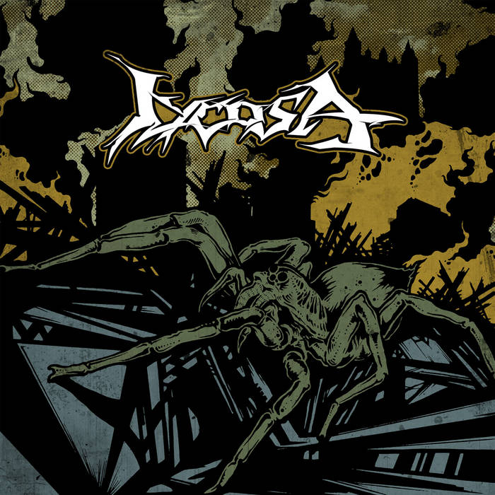 LYCOSA - Lycosa cover 