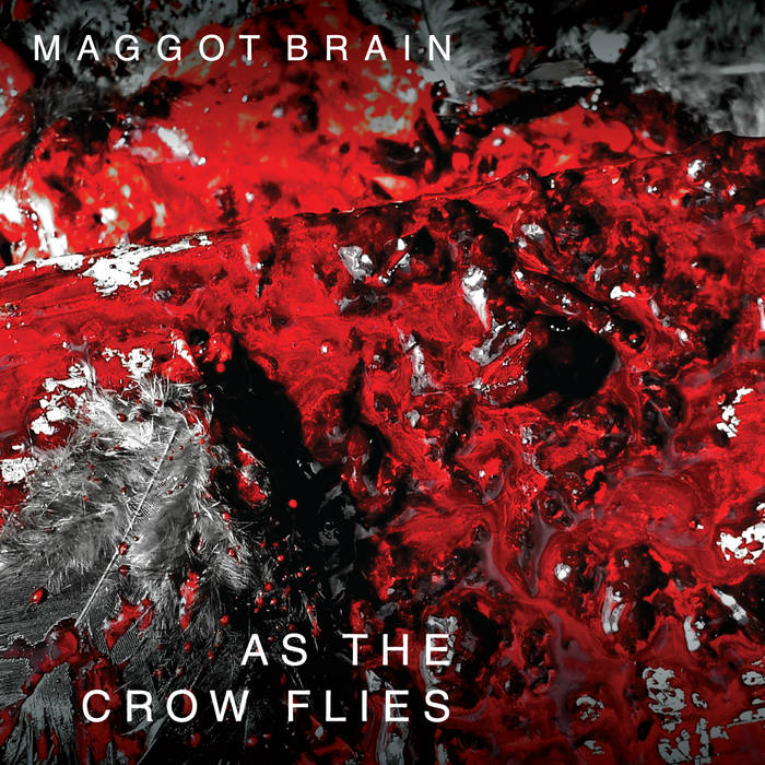 MAGGOT BRAIN - As The Crow Flies cover 
