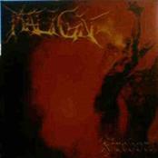 MALIGN - Fireborn cover 