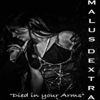 MALUS DEXTRA - Died In Your Arms cover 