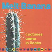MELT-BANANA - Cactuses Come In The Flocks cover 