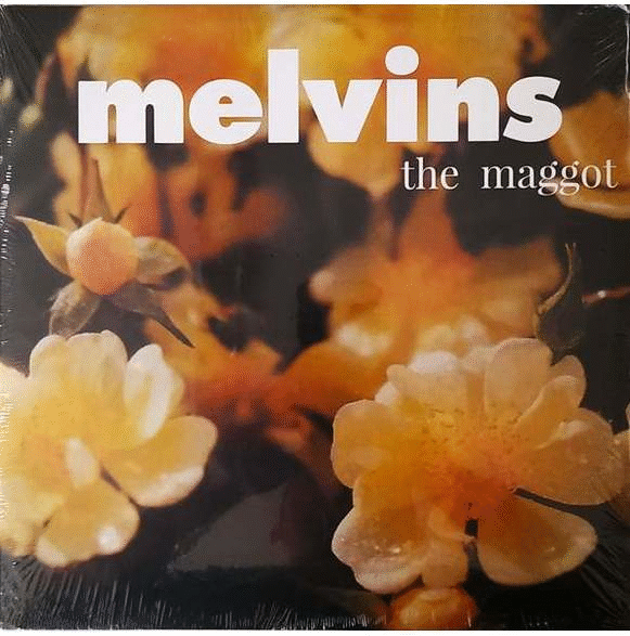 MELVINS - The Maggot & The Bootlicker cover 