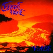 MENTAL HOME - Vale cover 