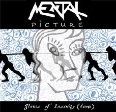 MENTAL PICTURE - Slaves of Insanity cover 