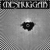 MESHUGGAH - Meshuggah (Psykisk Testbild) cover 