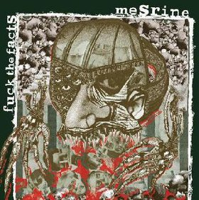 MESRINE - Fuck The Facts / Mesrine cover 