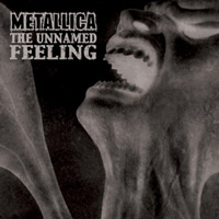 METALLICA - The Unnamed Feeling cover 