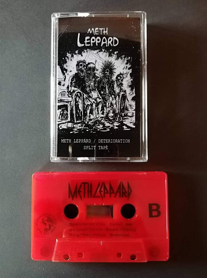 METH LEPPARD - Meth Leppard​ / ​Deterioration cover 