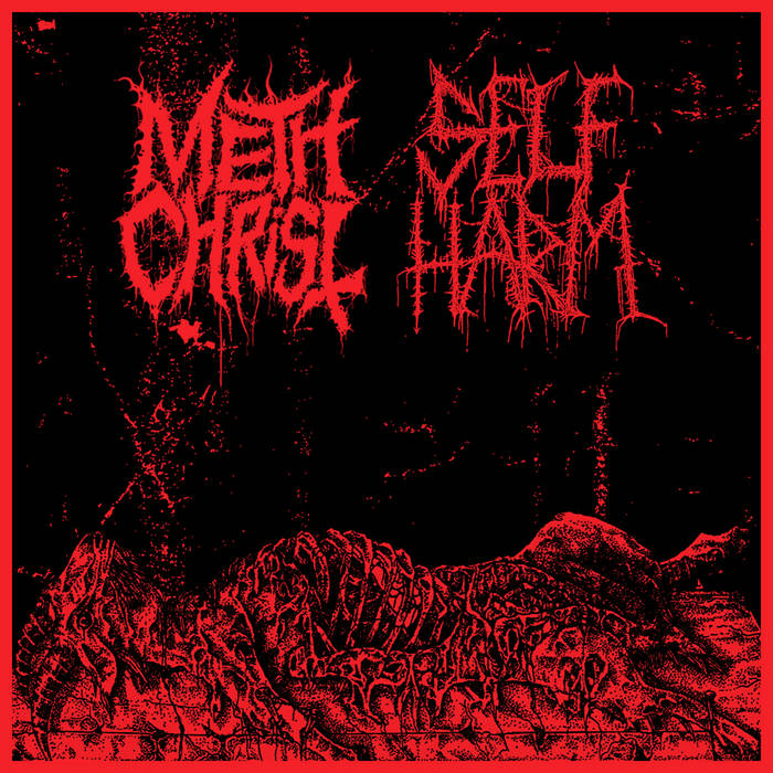 METHCHRIST - Methchrist / Self Harm cover 