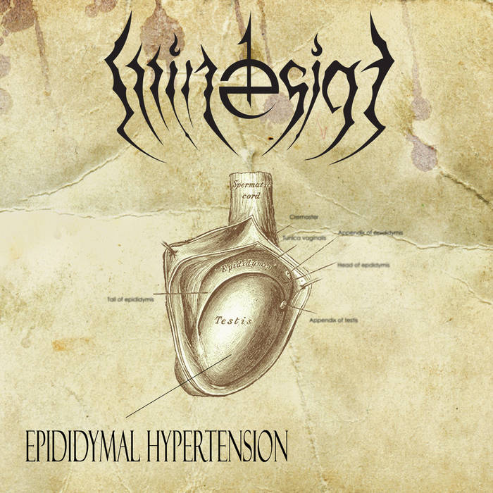 MINDESIGN - Epididymal Hypertension cover 