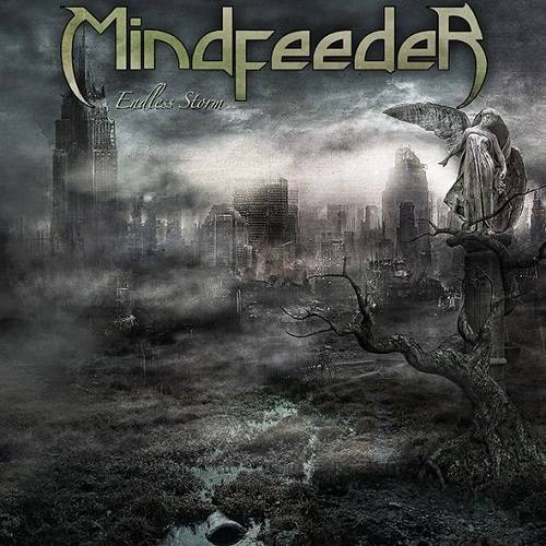 MINDFEEDER - Endless Storm cover 
