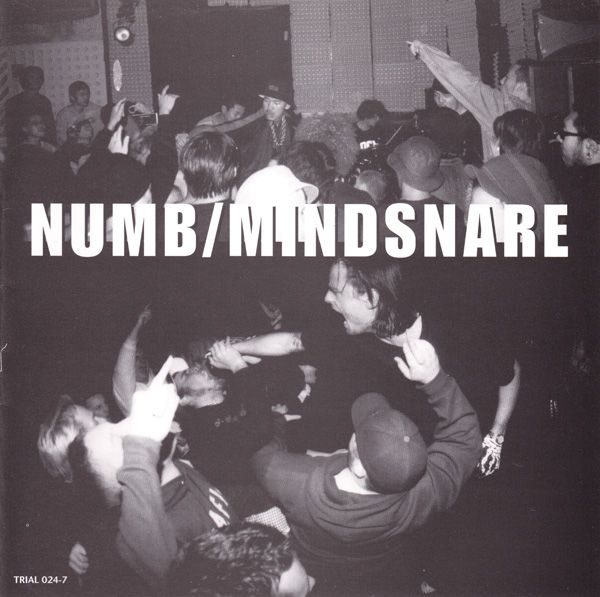 MINDSNARE - Numb / Mindsnare cover 