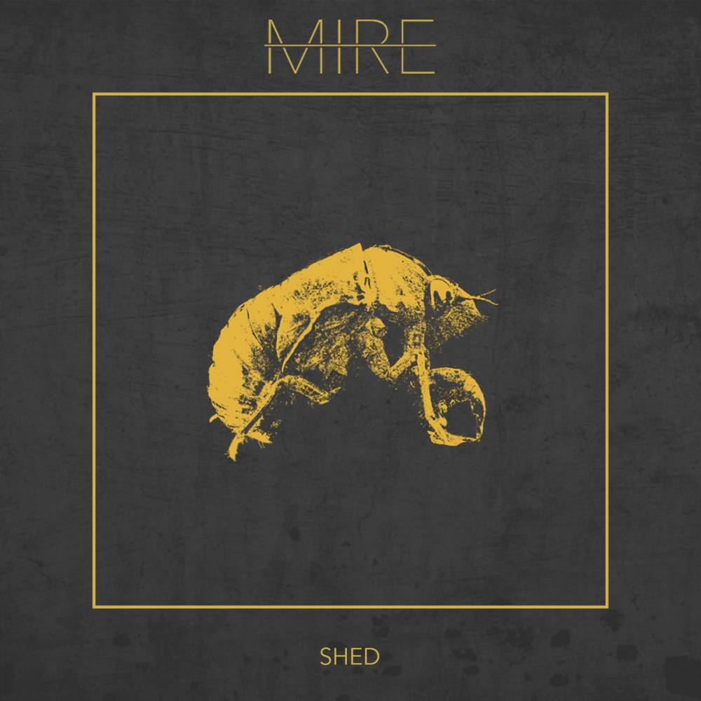 MIRE - Shed cover 