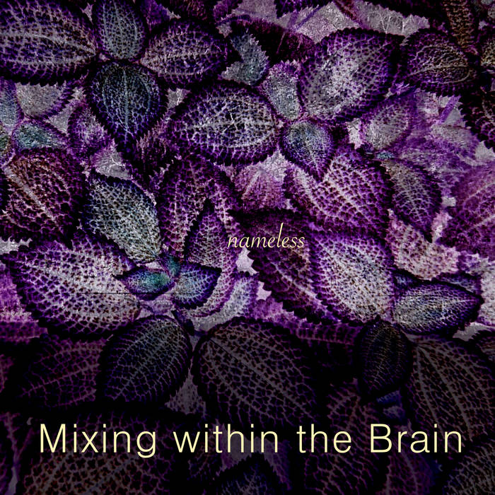 MIXING WITHIN THE BRAIN - Nameless cover 
