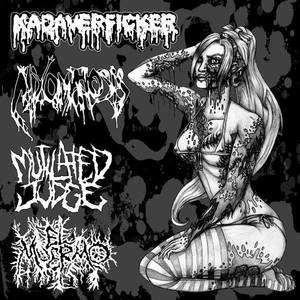 MIXOMATOSIS - Kadaverficker / Mutilated Judge / Mixomatosis / El Muermo cover 
