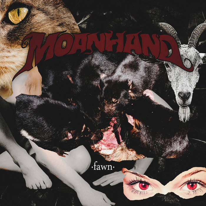 MOANHAND - Fawn cover 