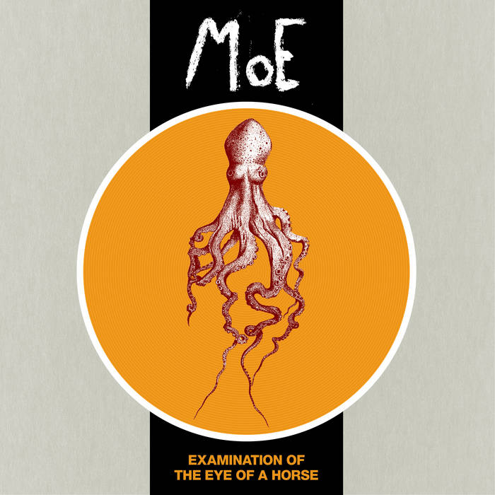 MOE - Examination Of The Eye Of A Horse cover 