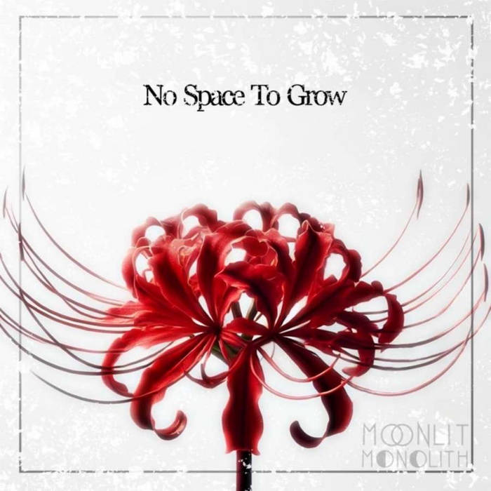 MOONLIT MONOLITH - No Space To Grow cover 