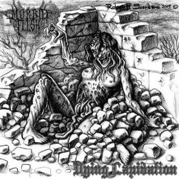 MORBID FLESH - Dying Lapidation cover 