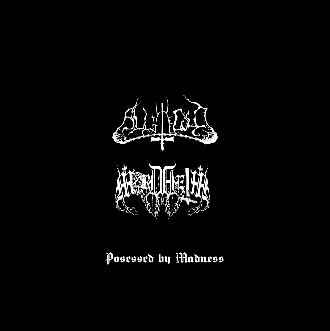 MORDHEIM - Possessed by Madness cover 