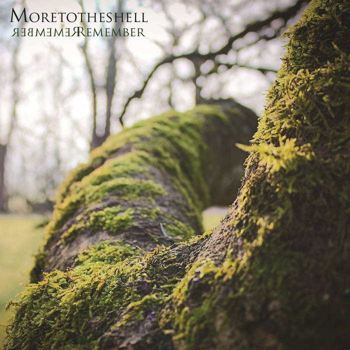MORETOTHESHELL - Remember cover 