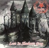 MORGUL - Lost in Shadows Grey cover 
