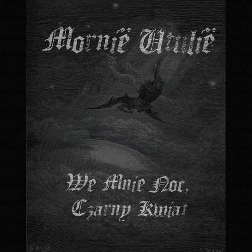 MORNIË UTÚLIË - We mnie noc, czarny kwiat cover 