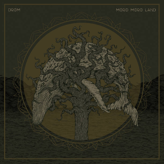 MORO MORO LAND - Drom / Moro Moro Land cover 