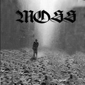 MOSS - Moss cover 
