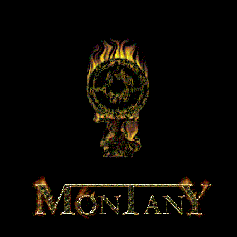 MONTANY - The Evermore cover 