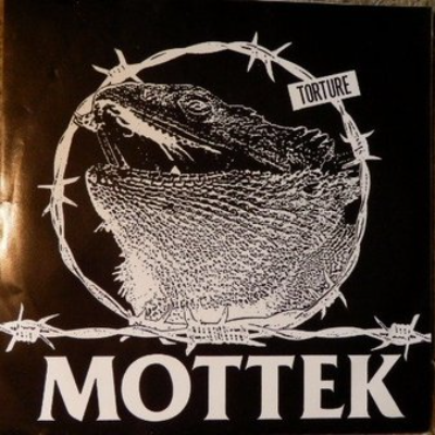 MOTTEK - Torture cover 