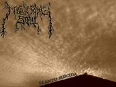 MOURNING SOUL - Llanto Suicida cover 