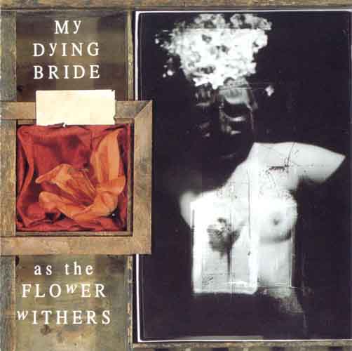 MY DYING BRIDE - As the Flower Withers cover 