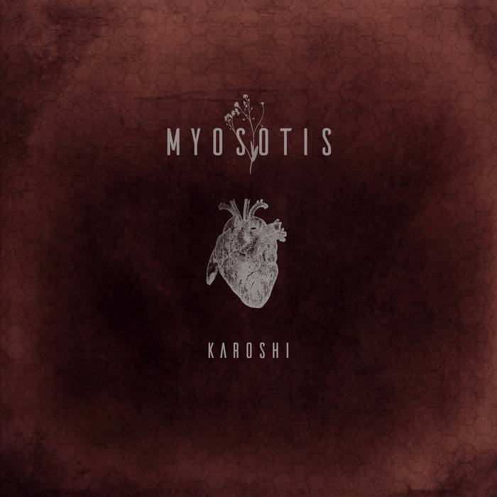 MYOSOTIS - Karoshi cover 