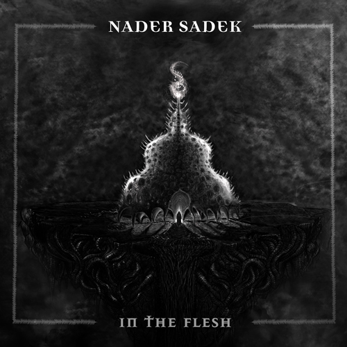 NADER SADEK - In the Flesh cover 