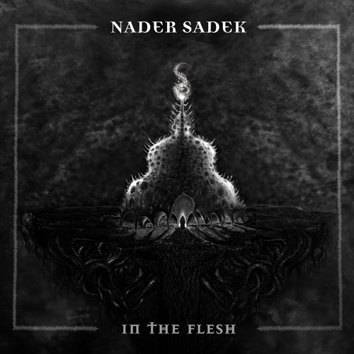 nader-sadek-in-the-flesh.jpg