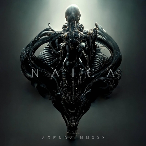 NAICA - Agenda MMXXX cover 