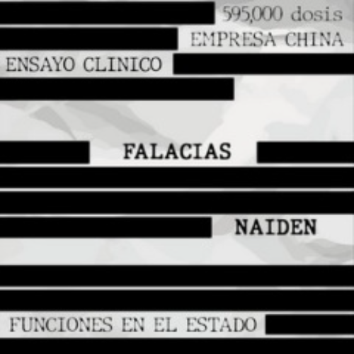 NAIDEN - Falacias cover 