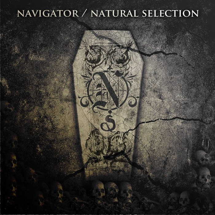 NAVIGATOR - Natural Selection cover 