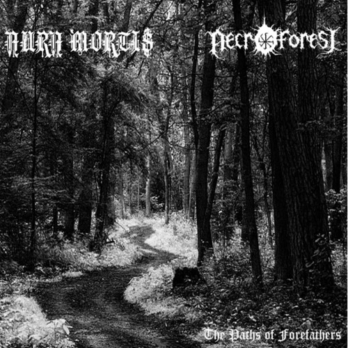 NECRO FOREST - The Paths of Forefathers cover 