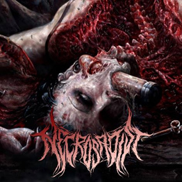 NECROSADIST - Promo 2013 cover 