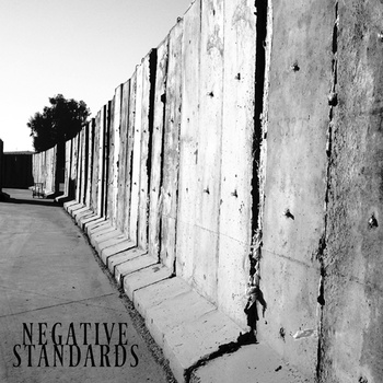 NEGATIVE STANDARDS - I.II.III.IV.V cover 